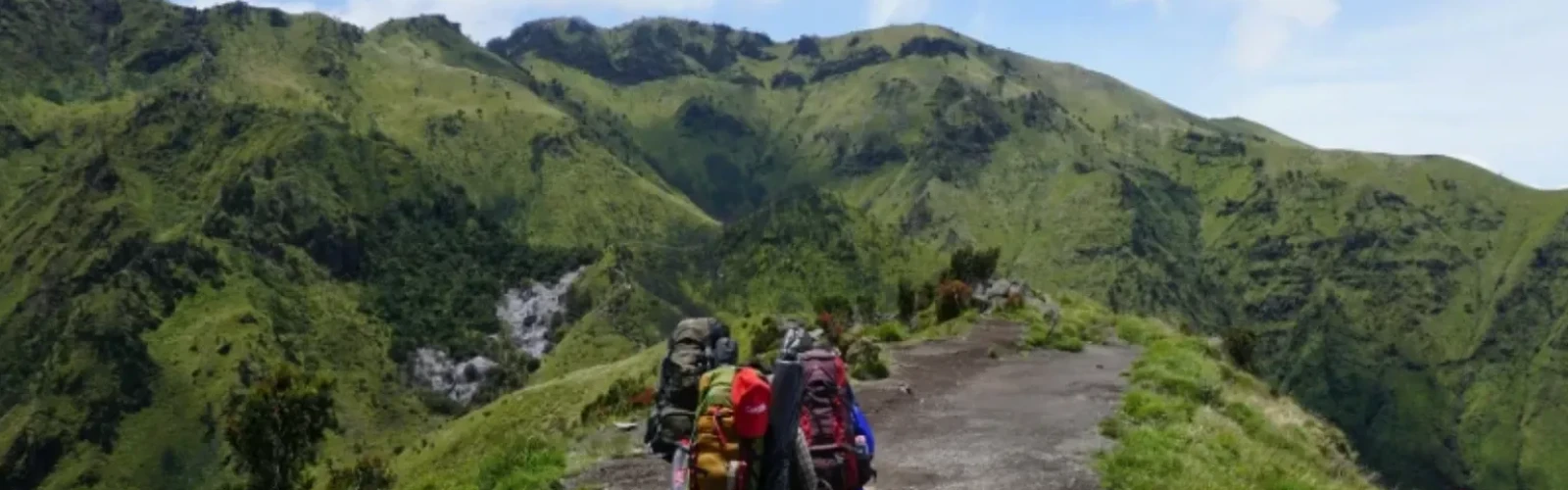 Ultimate Guide to San Francisco's Best Hiking Trails and Scenic Viewpoints