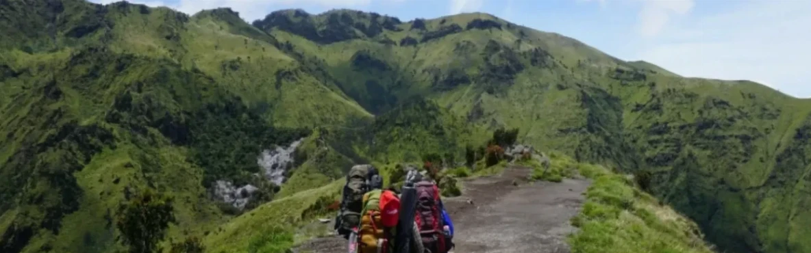 Ultimate Guide to San Francisco's Best Hiking Trails and Scenic Viewpoints