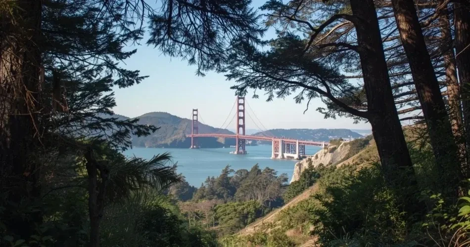 Ultimate Guide to San Francisco's Best Hiking Trails and Scenic Viewpoints